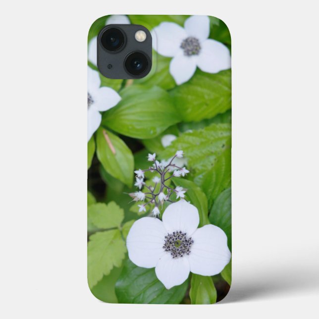 Coques Case-Mate iPhone Canada, Colombie-Britannique. Cornouiller nain (Verso)