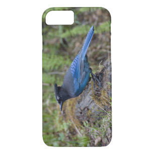 Case-Mate iPhone Case Canada : Colombie-Britannique, Yoho NP, Stellar ja