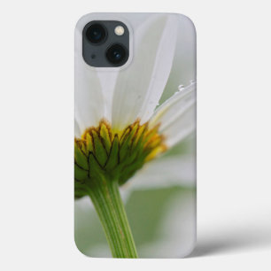 Etui iPhone 13 Canada, Nouveau-Brunswick,