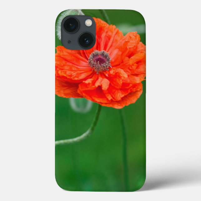 Coques Case-Mate iPhone Canada, Nouveau-Brunswick, , (Verso)