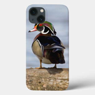 Etui iPhone 13 Canard branchu mâle sur une bûche dans une zone hu