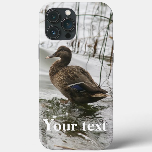 Coques Case-Mate iPhone Canard gris sur la nuit du lac (Verso)