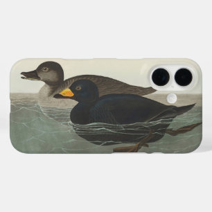 Coque Pour iPhone 16 Canard noir d'Amérique de Audubon vintage