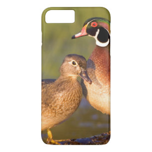 Coque iPhone 8 Plus/7 Plus Canards branchus et femelle sur une bûche dans une