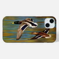 Canards-Majards Survolant L'Étang