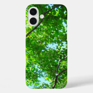 Coque Pour iPhone 16 Plus Canopée verte, Branches feuillues avec ciel bleu
