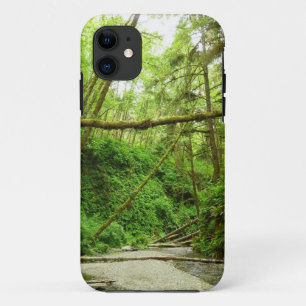 Case-Mate iPhone Case Canyon Fern I au Parc national de Redwood