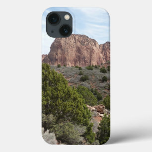 Case-Mate iPhone Case Canyons de Kolob au parc national de Zion
