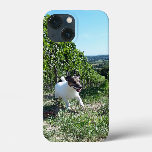 Coques Case-Mate iPhone Capo von Oppenheim Jack Russell Terrier, Chien (Verso)