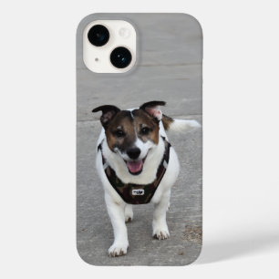 Coque Case-Mate iPhone Capo von Oppenheim, Jack Russell Terrier Chien
