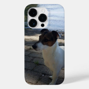 Coque Case-Mate iPhone Capo von Oppenheim, Jack Russell Terrier Chien