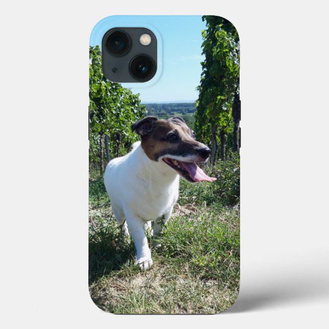Coques Case-Mate iPhone Capo von Oppenheim Jack Russell Terrier, Chien (Verso)