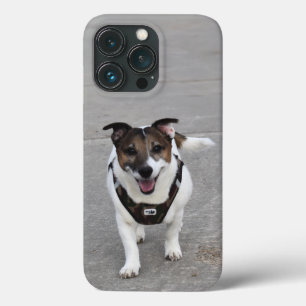 Case-Mate iPhone Case Capo von Oppenheim, Jack Russell Terrier Chien
