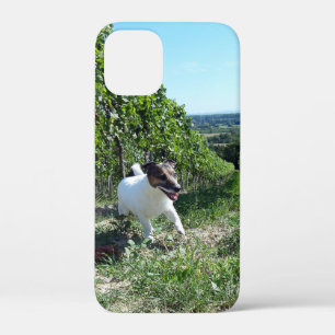 Case-Mate iPhone Case Capo von Oppenheim Jack Russell Terrier, Chien