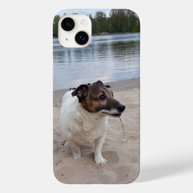 Coques Case-Mate iPhone Capo von Oppenheim, Jack Russell Terrier Chien (Verso)