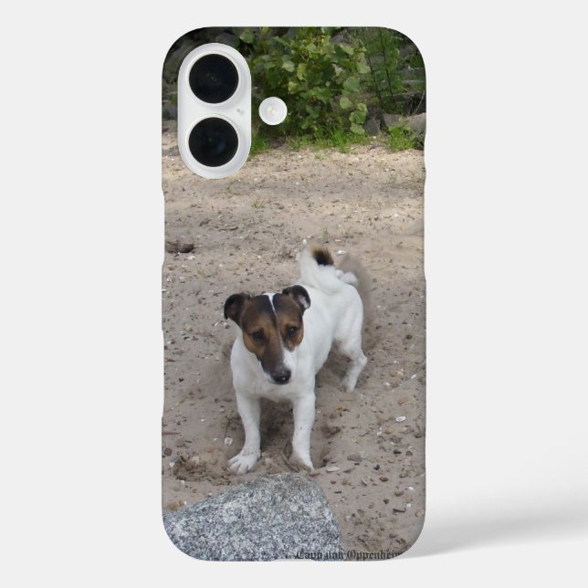 Coques Case-Mate iPhone Capo von Oppenheim Jack Russell Terrier, Chien (Verso)