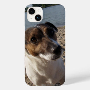 Coque Case-Mate iPhone Capo von Oppenheim Jack Russell Terrier, Chien