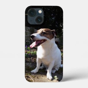 Case-Mate iPhone Case Capo von Oppenheim Jack Russell Terrier, Chien