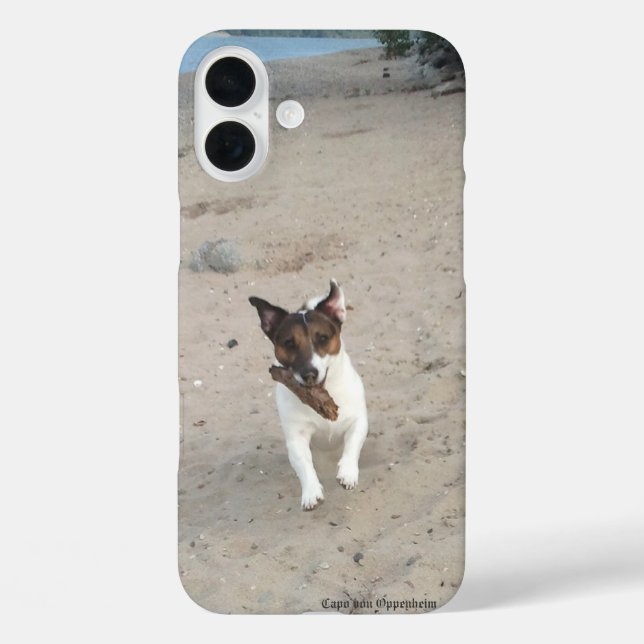 Coques Case-Mate iPhone Capo von Oppenheim Jack Russell Terrier, Chien (Verso)