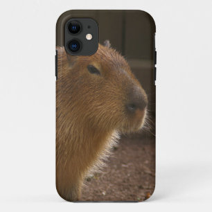 Coque Case-Mate Pour iPhone Capybara