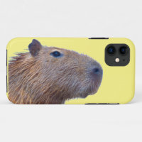 Capybara