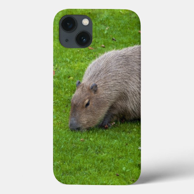 Coques Case-Mate iPhone Capybara Animal Incroyable (Verso)