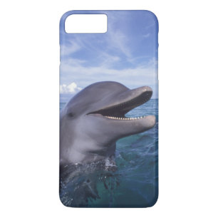 Coque iPhone 8 Plus/7 Plus Caraïbes, Grand dauphin