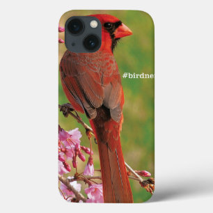 Etui iPhone Case-Mate Cardinal de Northern