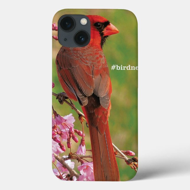 Coques Case-Mate iPhone Cardinal de Northern (Verso)