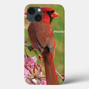 Etui iPhone 13 Cardinal du nord