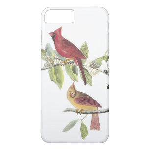Coque Case-Mate iPhone Cardinal du nord par Audubon