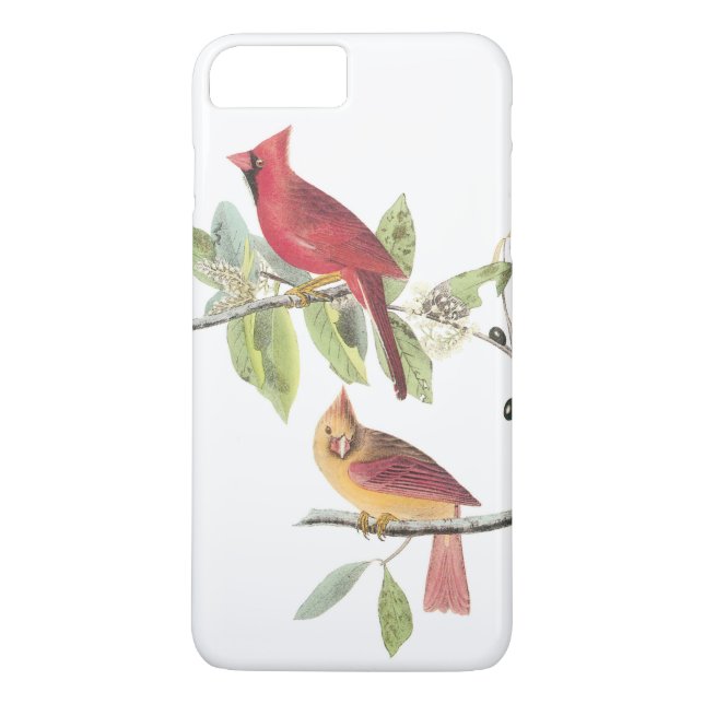 Coques Case-Mate iPhone Cardinal du Nord par Audubon (Dos)
