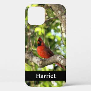 Case-Mate iPhone Case Cardinal rouge dans l'arbre Personnalisé