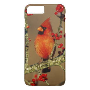 Coque Case-Mate iPhone Cardinal rouge mâle perché, IL