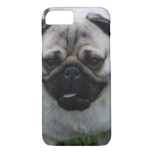 Coques Pour iPhone Carlin adorable
