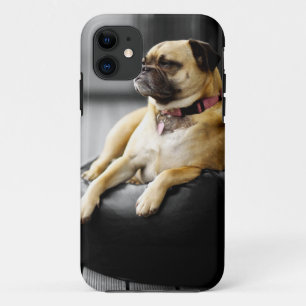 Coque Case-Mate iPhone Carlin au repos