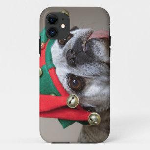 Coque iPhone 11 Carlin de regard drôle avec la langue traînant