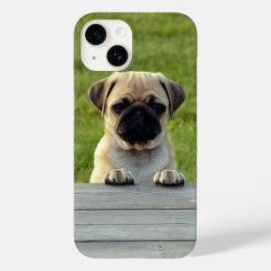 Coque Case-Mate iPhone Carlin Pup Cute Photo