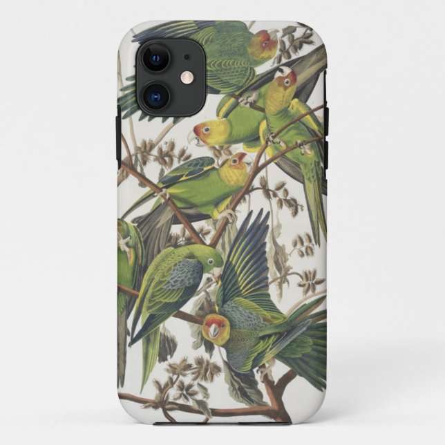 Coques Case-Mate iPhone Carolina Parakeet, de 'Birds of America', 1829 (Dos)
