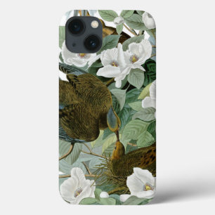 Coques Pour iPhone Carolina Pigeon Audubon Morning Dove