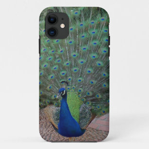 Coques Pour iPhone Cas de l'iPhone 5 de paon