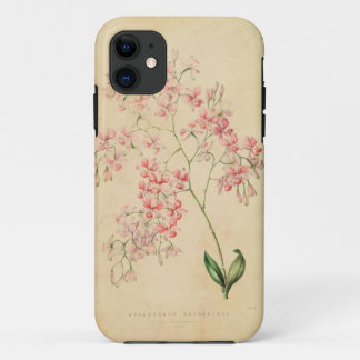 Coque iPhone 11 cas de l'iPhone 5 - illustration vintage