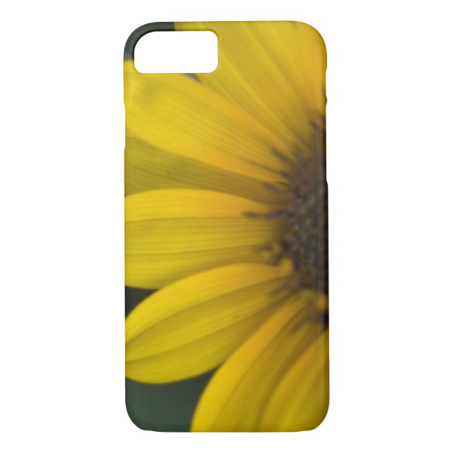 Coques Case-Mate iPhone Cas de l'iPhone 7 de tournesol (Dos)