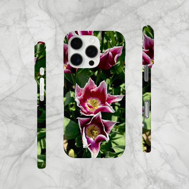 Coques Case-Mate iPhone Cas de téléphone cellulaire de tulipes pourpres et (Original photo, taken near an Amsterdam tulip farm. Unique pointed petal tulips.  iPhone Cell-Mate.)