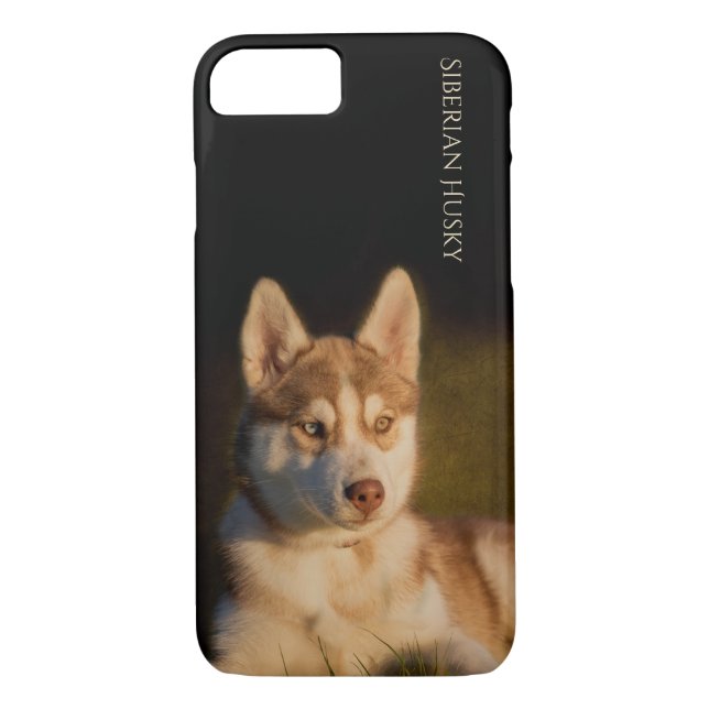 Coques Case-Mate iPhone Cas de téléphone de chiot de chien de traîneau (Dos)