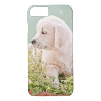 Case-Mate iPhone Case Cas de téléphone de golden retriever