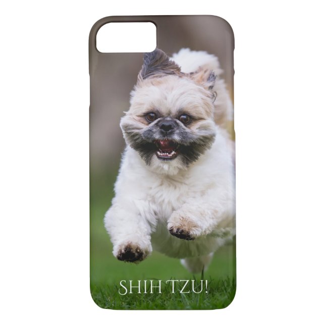 Coques Case-Mate iPhone Cas de téléphone de Shih Tzu (Dos)