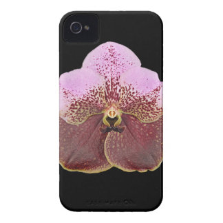 Coque iPhone 4 Case-Mate Cas de téléphone portable d'orchidée, iPhone 4