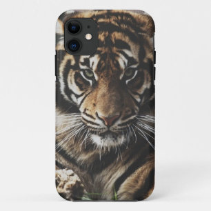 Case-Mate iPhone Case Cas de tigre