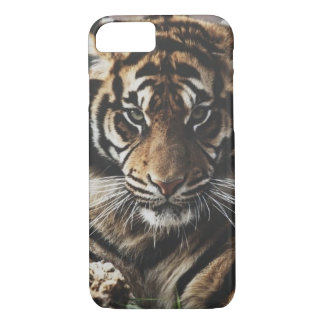 Coque iPhone 7 Cas de tigre